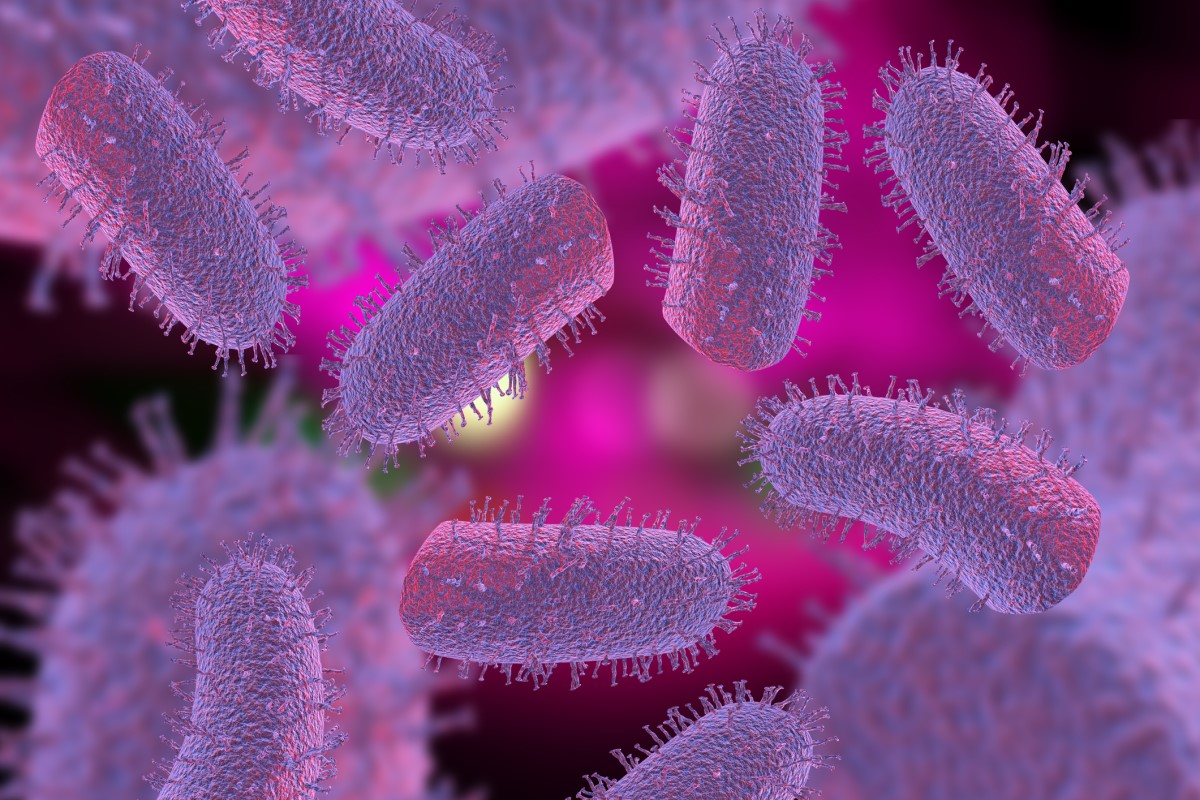 Lyssavirus - Lyssavirus - 3D-representasjon av rabiesvirus