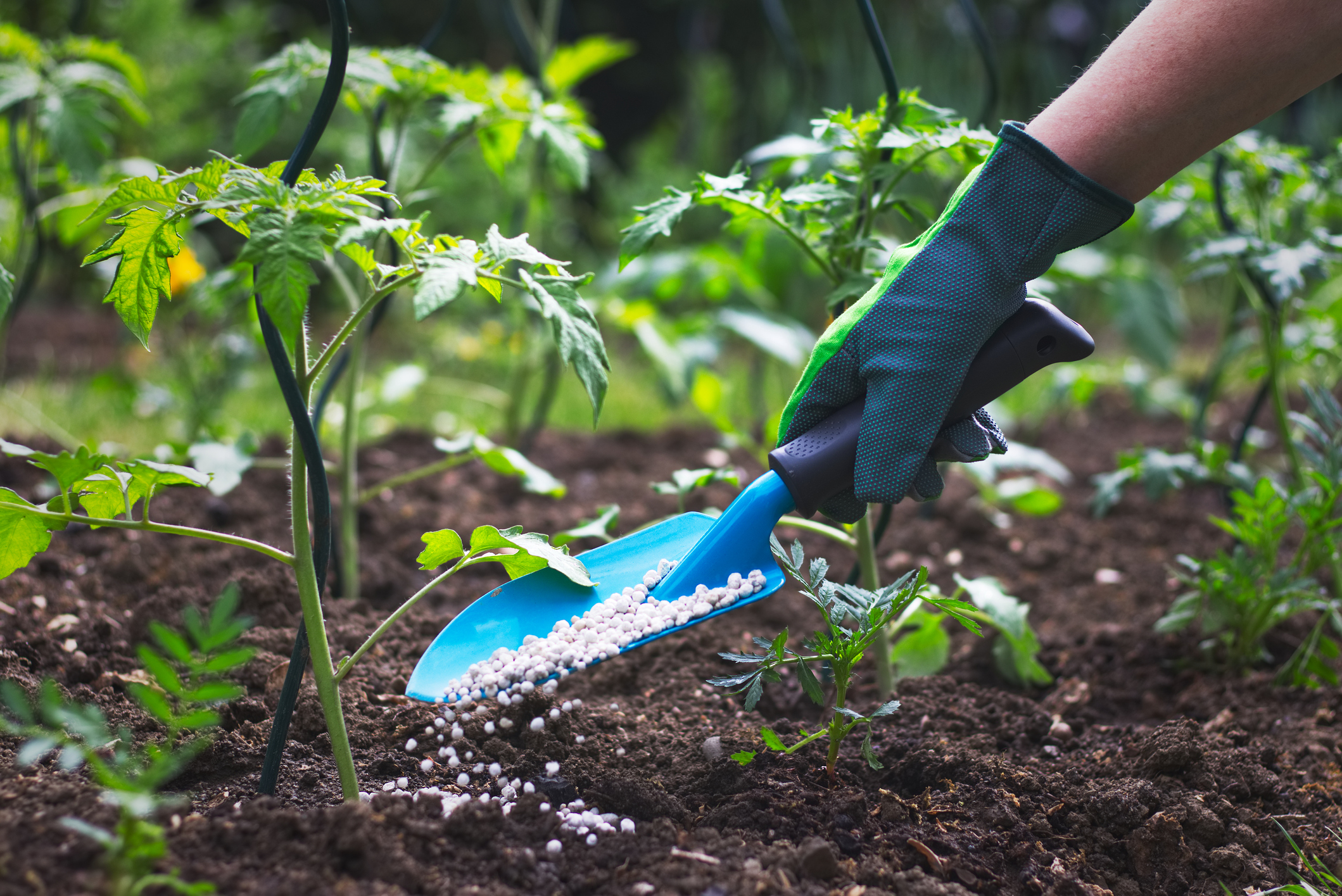 I dag brukes fosfor ofte industrielt som ingrediens i gjødsel og plantevernmidler.