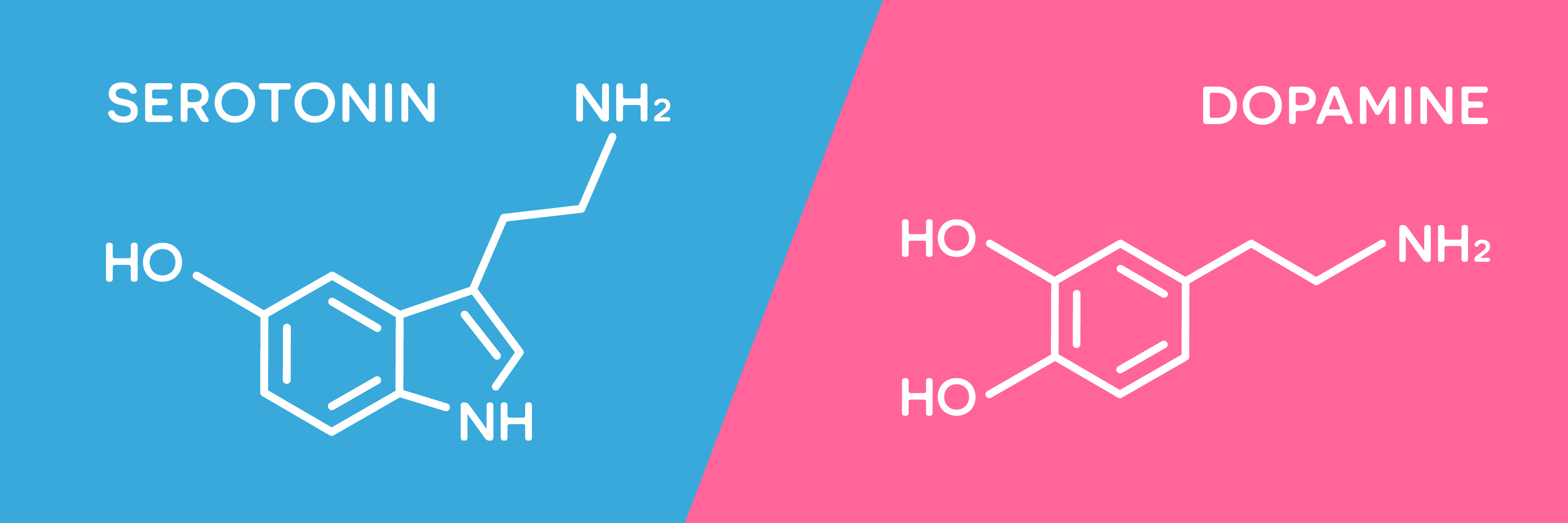 En ubalanse i serotonin- eller dopaminnivået kan føre til angstlidelser. 