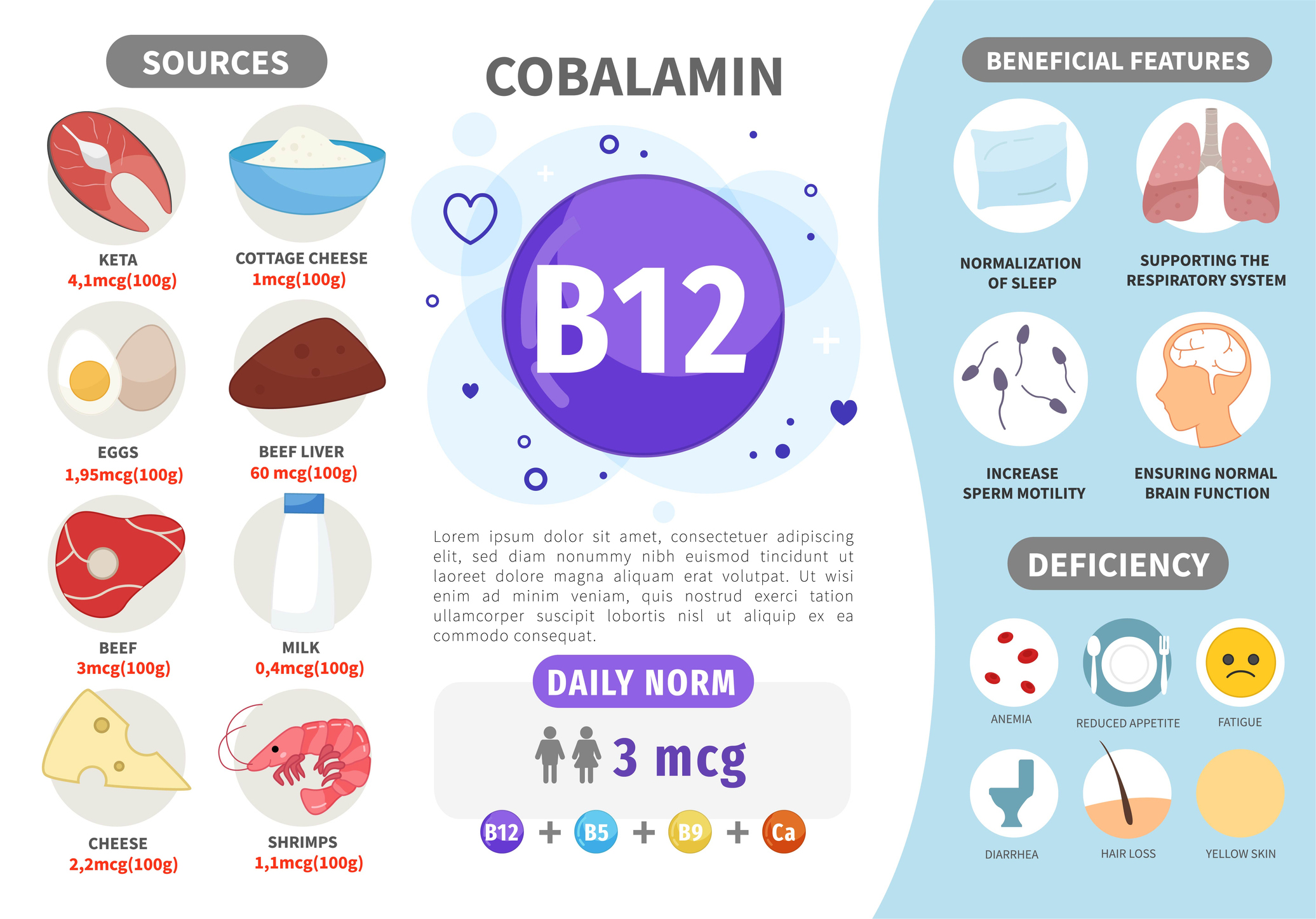 Kilder til vitamin B12