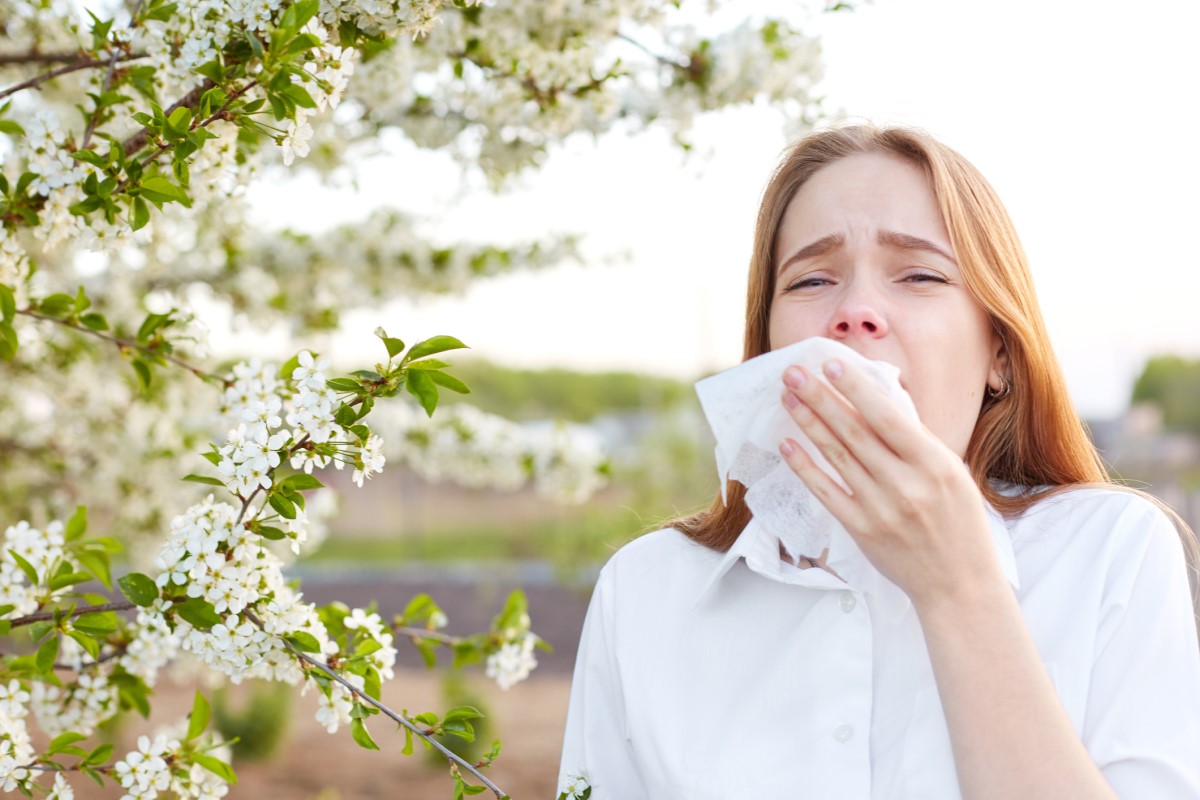 Allergier som forårsaker hyppig nysing og rennende nese kan føre til neseblødninger