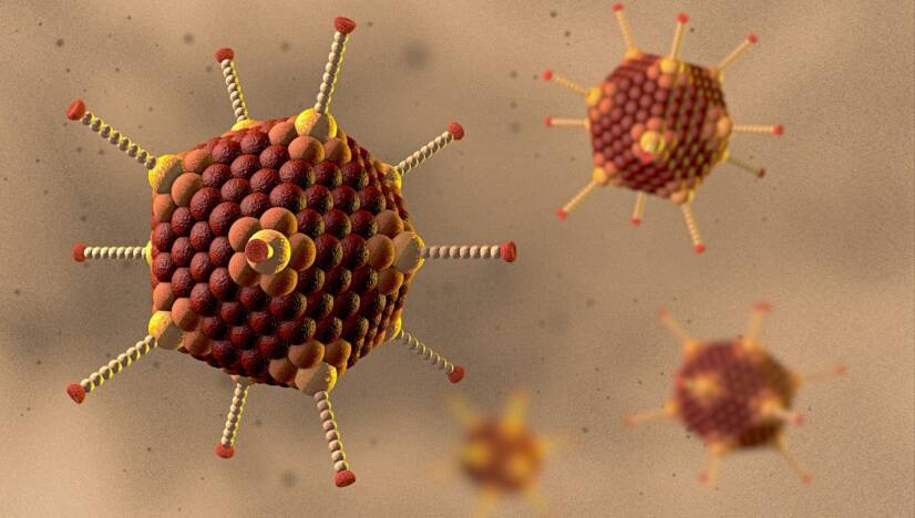 Adenovirusinfeksjon: hva er adenovirus, hvordan smitter det og hva er symptomene?