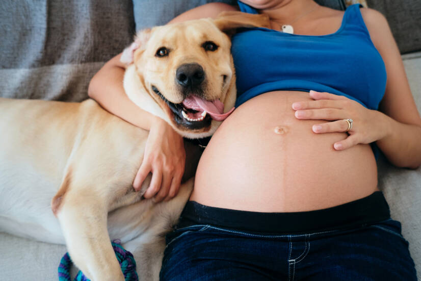 Gravid kvinne og kjæledyr, fotokilde: Getty Images