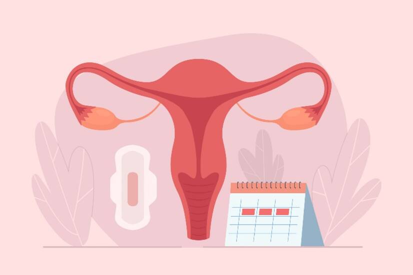 Hvordan fungerer menstruasjonssyklusen? Sykluslengde og faser + symptomer