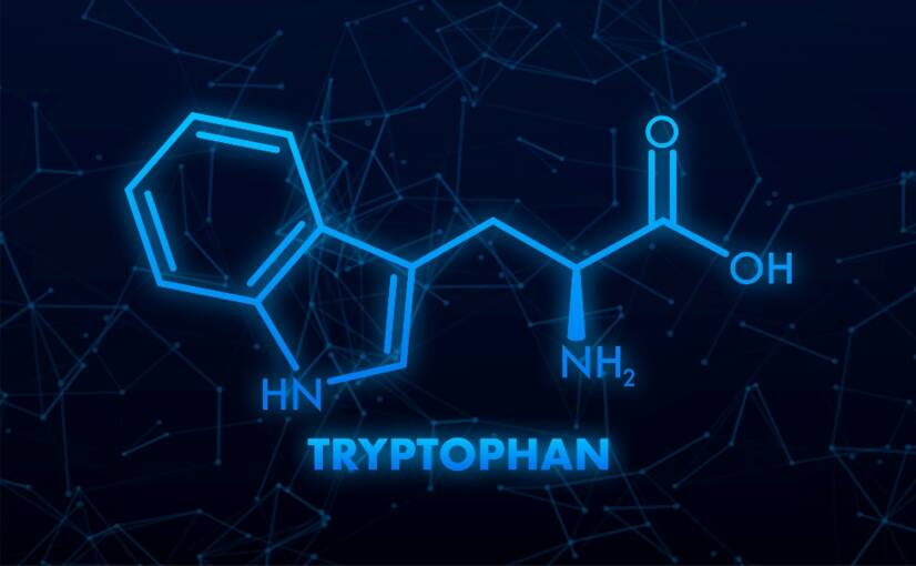 L-tryptofan og dets effekter på kroppen - hjelper det på humøret og søvnen?