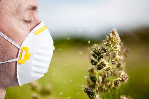 Pollensesongen slår til: pollenallergi, symptomer, behandling?